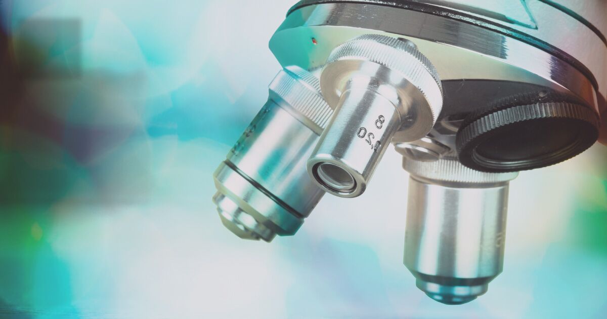 What Is Seborrheic Vulvitis FAQs For Women - Arizona Gynecology Consultants